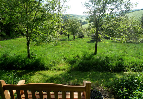 Lots and lots of butterflies