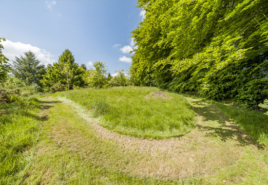 Another path up Humphrey's Hill