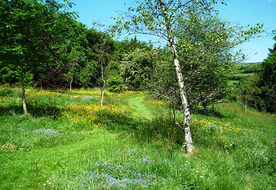 Beautiful and quiet picnic area